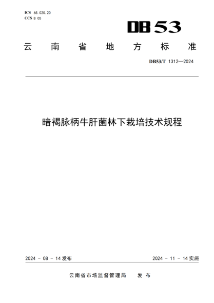 DB53/T 1312-2024 暗褐脈柄牛肝菌林下栽培技術(shù)規(guī)程免費(fèi)下載